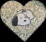[Natalie Gansmoe Baby Snoopy image]